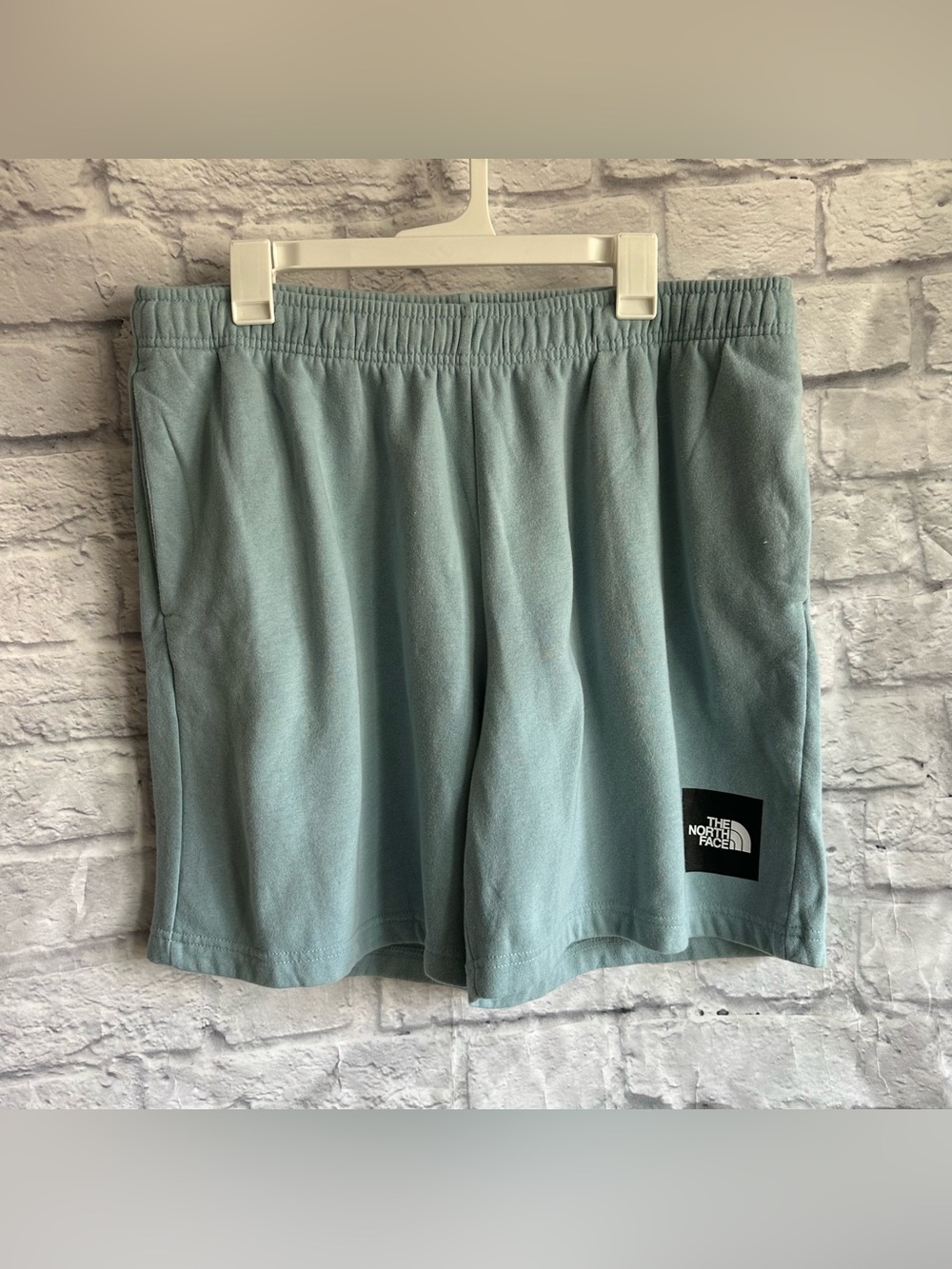 PREOWNED THE NORTH FACE FLEECE MENS SHORTS BLUE SIZE XL
